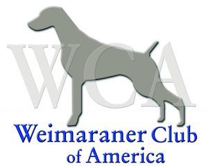 Think Big Marketing LLC's client WCA Weimaraner Club of America